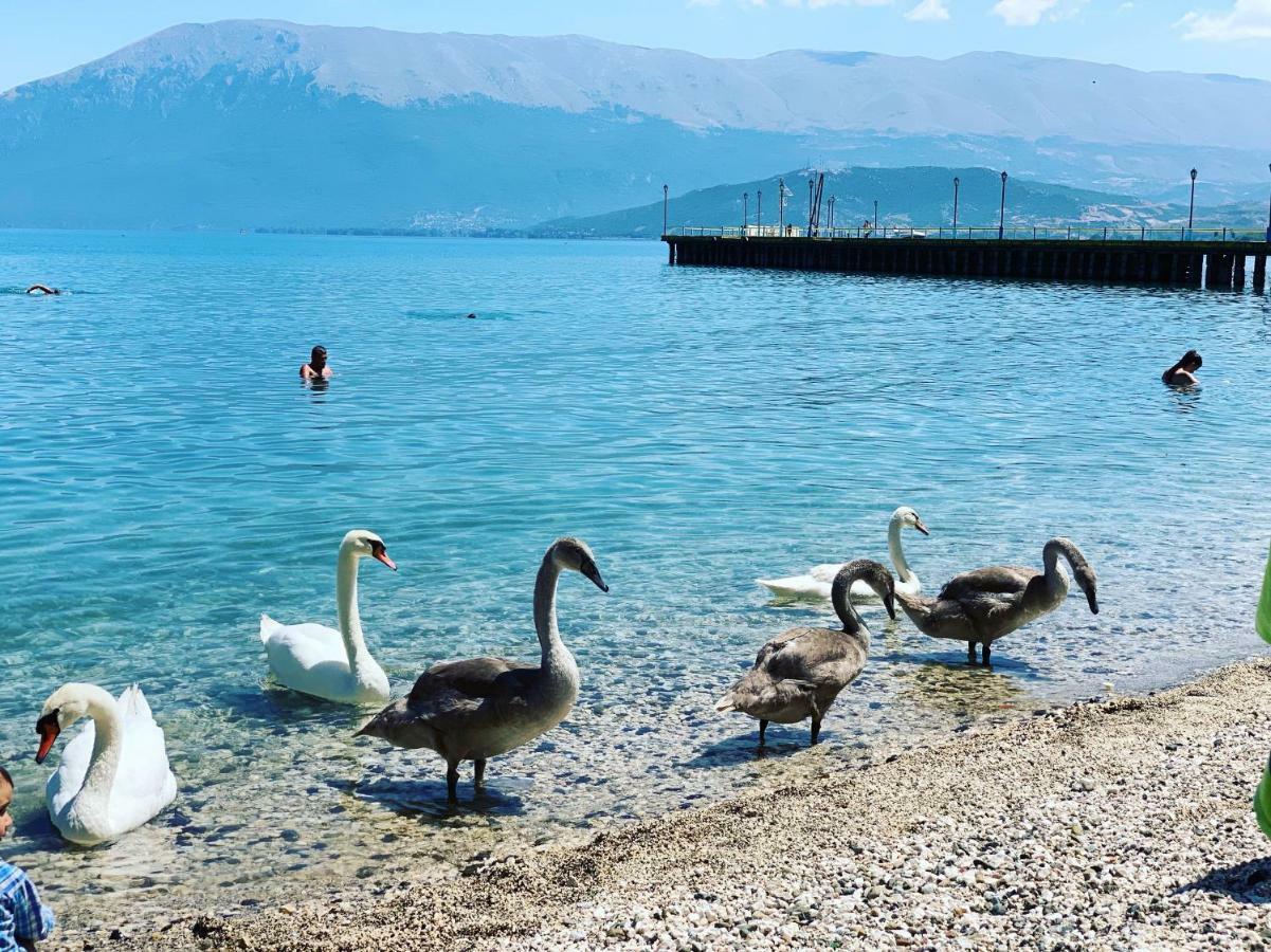 Syzo Apartments Pogradec Zewnętrze zdjęcie
